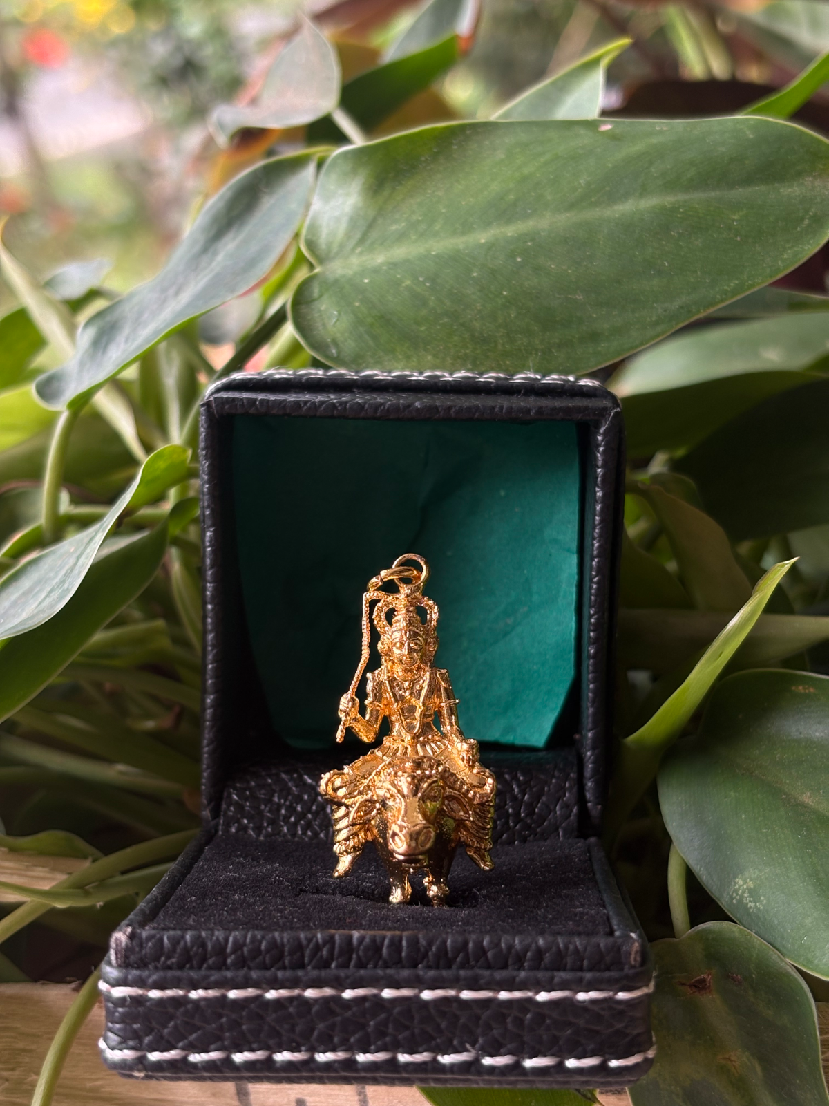 Projected Locket