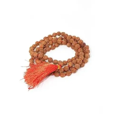 5 mukha rudraksha maala